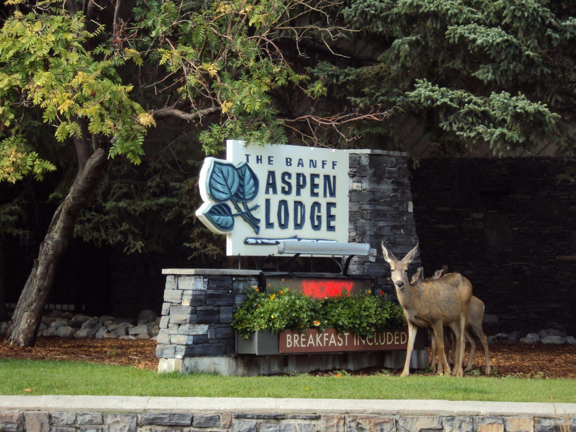 Banff Aspen Lodge Kültér fotó